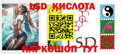 гашик Камышлов