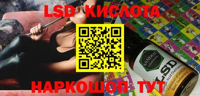 гашик Камышлов