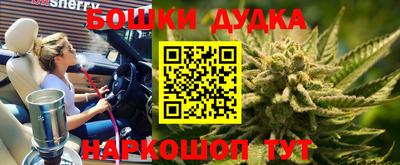 гашик Камышлов