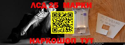 гашик Камышлов