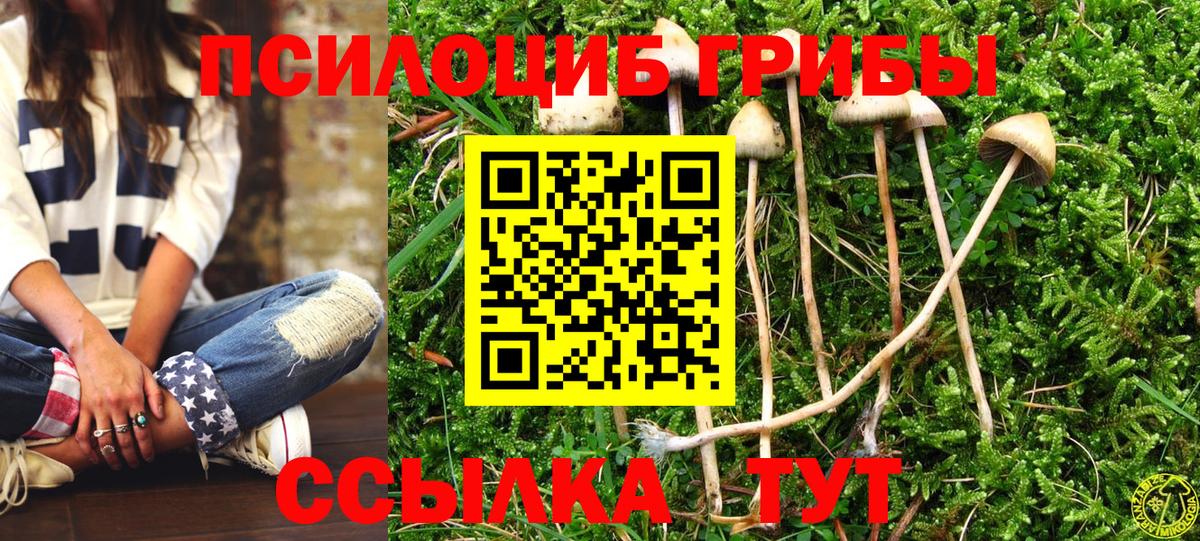 Псилоцибиновые грибы Psilocybine cubensis Мегион