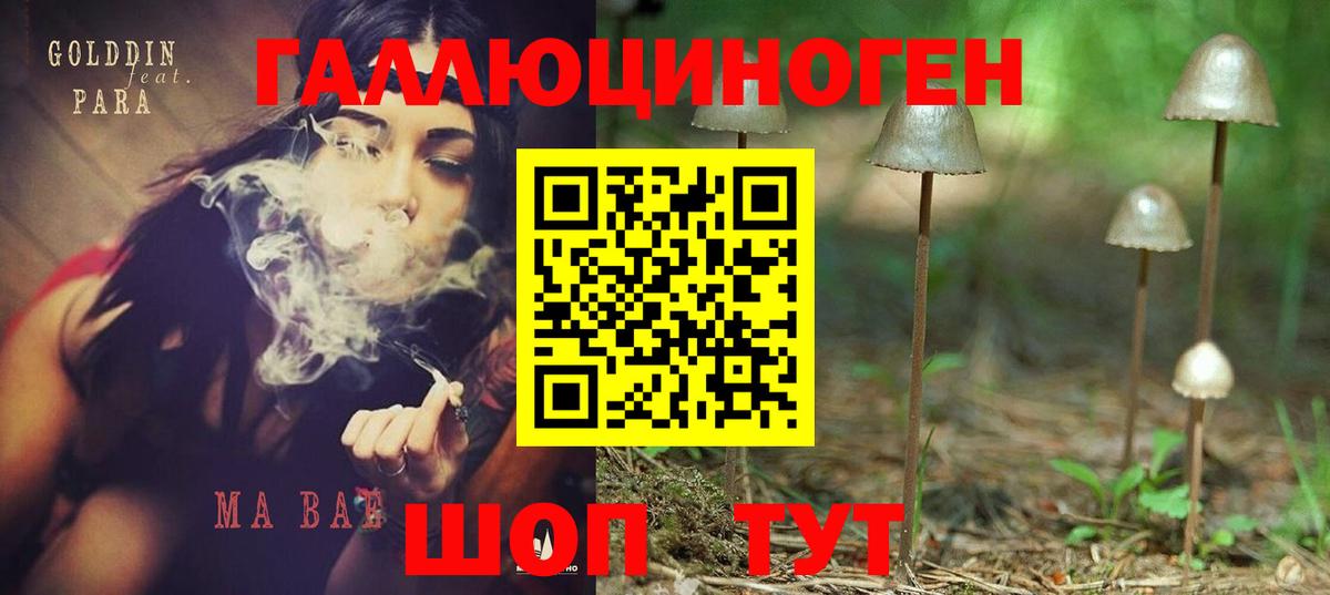 где купить наркоту  Псилоцибиновые грибы мицелий  Вход с VPN  Мегион 